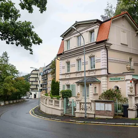 Rezidence Palmbaum - Luxury And Relax Villa Karlovy Vary Exterior photo